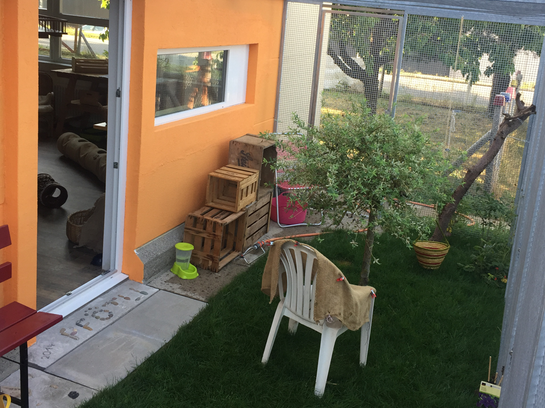 Aussengehege mit Spiel und Spass Katzenpension im Zürcher Weinland